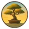 a bonsai with 3 branches